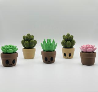 Plant Clickers