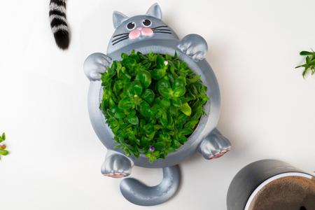 Chunky Cat Plant Pot