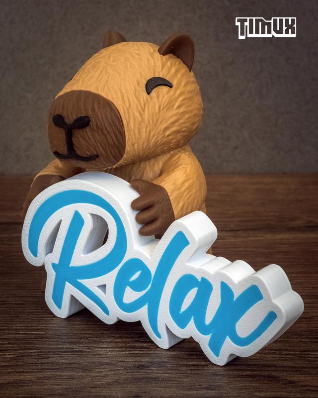 CAPYBARA WITH A RELAX SIGN