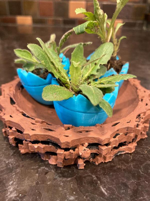 self watering cracked eggs planter
