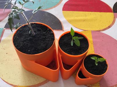 ADKS - Easy Self-Watering Planter