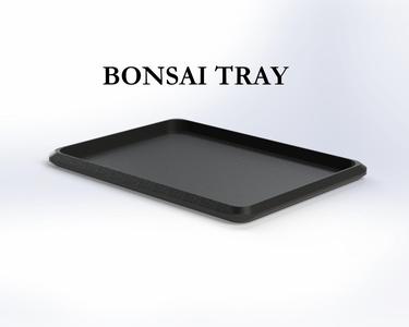 BONSAI TRAY
