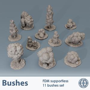 Bushes