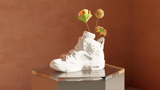 Air Jordan VI - Pot Plant