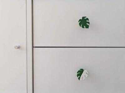 Monstera door/drawer knob