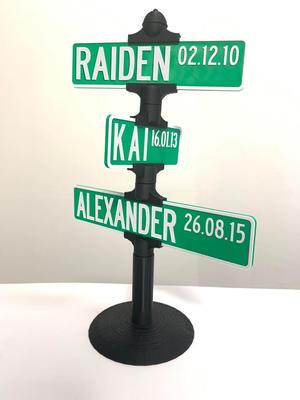 Birthday Baby Name Street Sign Decor