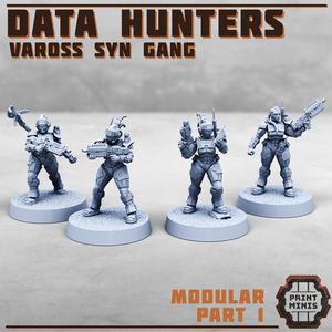 Data Hunters - Vaross Syn Gang