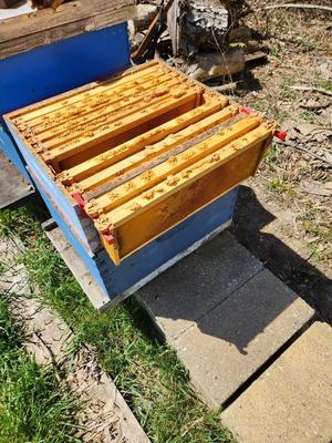 Bee Keeper Frame Holder