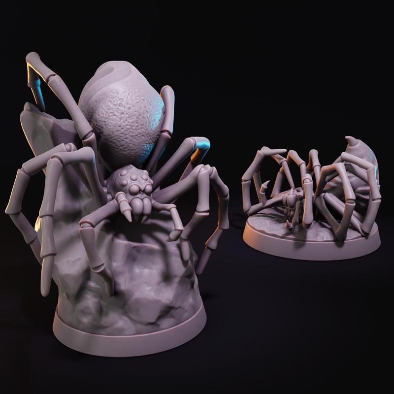 Spider