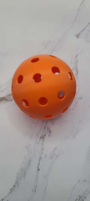 Pickle ball 1.0