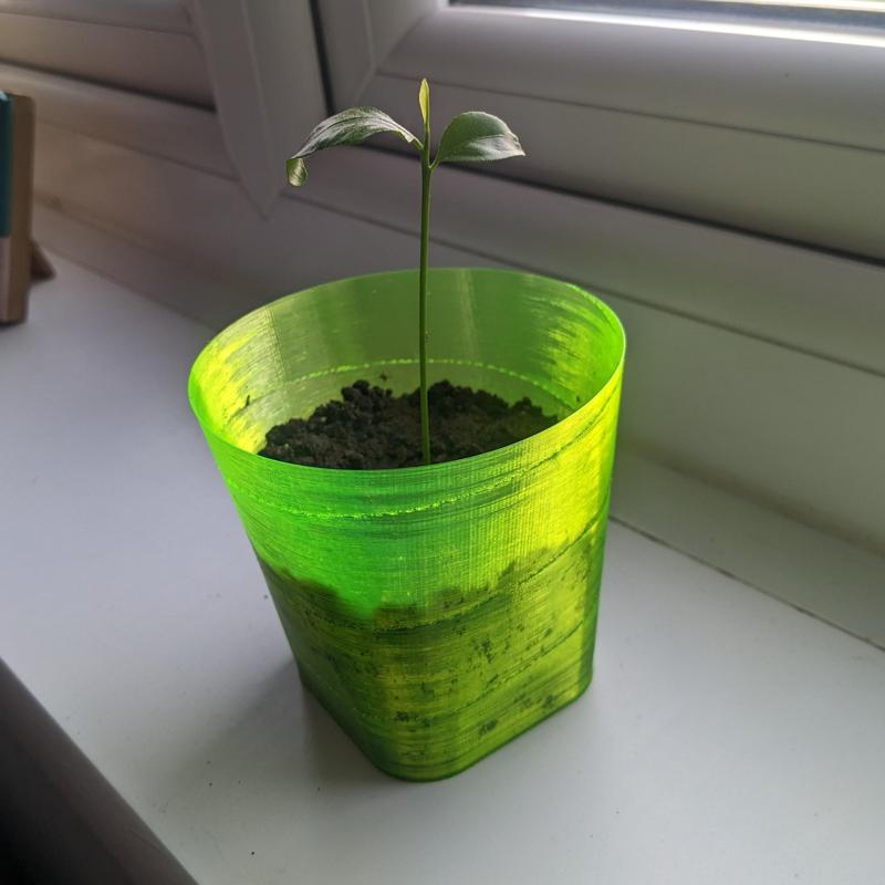 Seedling Planter - 14 grams