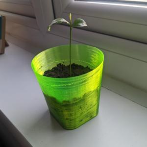 Seedling Planter - 14 grams