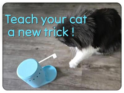 Cat Treat Dispenser with Interactive Lever