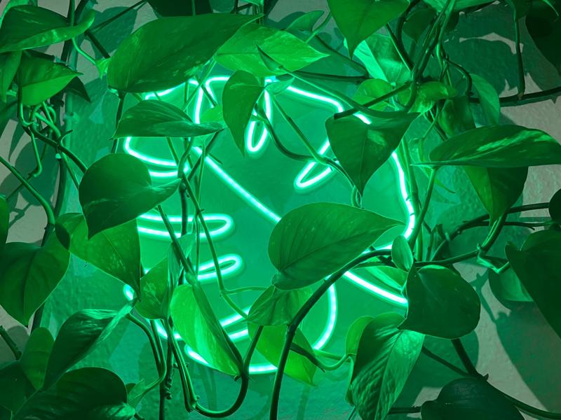 Neon Monstera Leaf