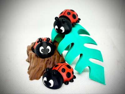 Cute Articulated Baby Ladybug