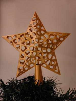 Unique Star for Christmas Tree - Voronoi style
