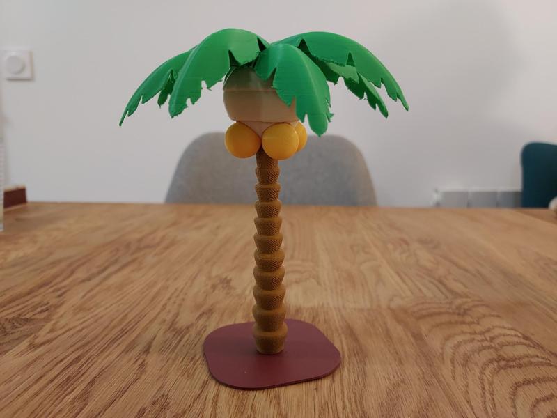 Palm Tree