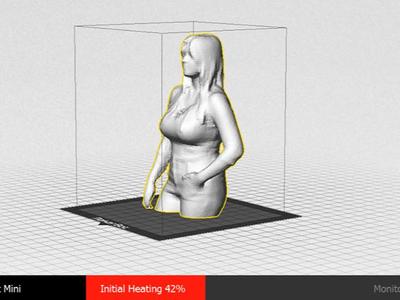 Exquisite Elisabeth Bust 3D Scan