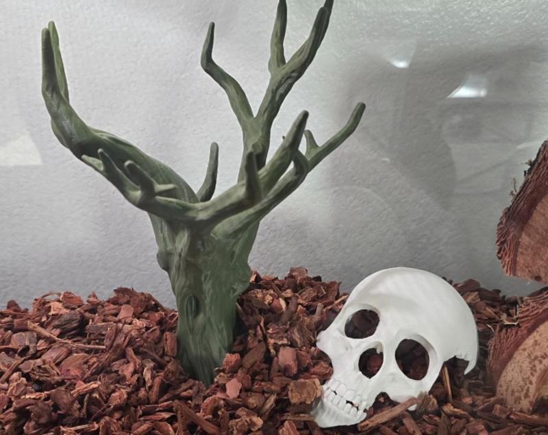 Dead Tree for Snake Tank