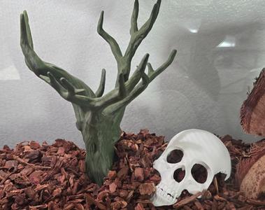 Dead Tree for Snake Tank
