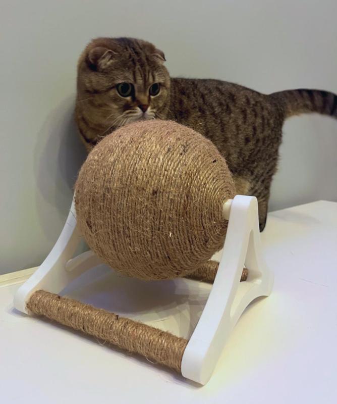 Spin & Scratch Interactive Cat Toy
