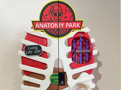 Anatomy Park - Fully functional