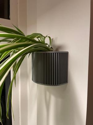 Wall mounted planter