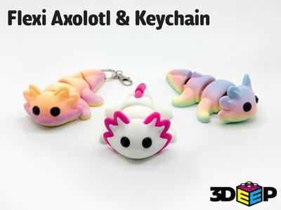 Flexi Axolotl & Keychain - No Supports