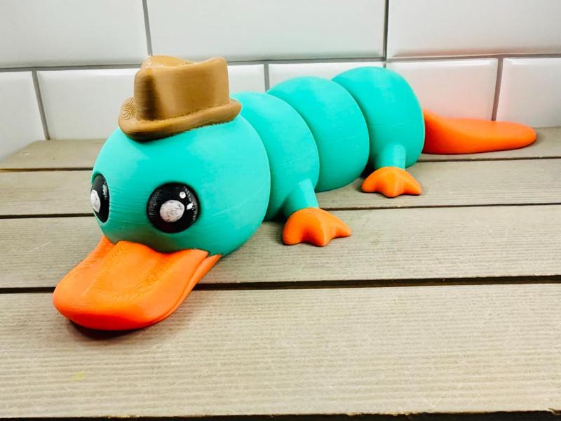 Fancy Platypus!!