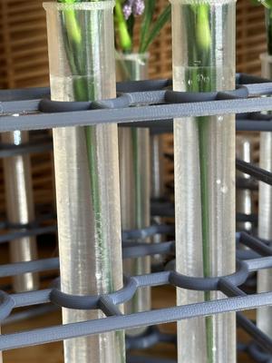 Spiralized Test Tubes