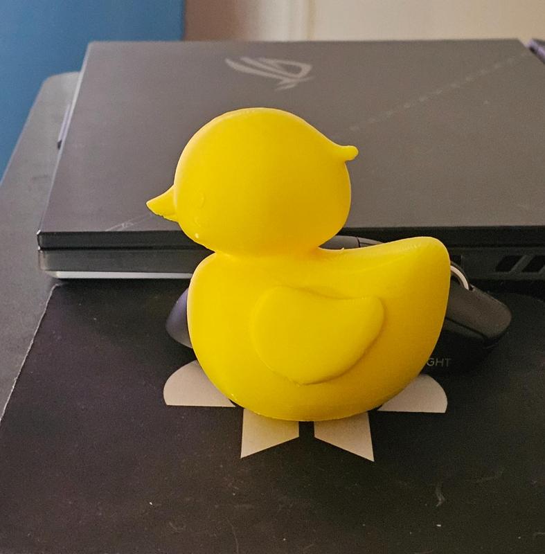 Rubber duck