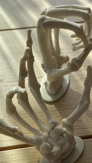 Skeleton Hands