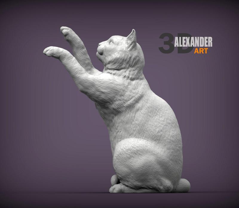 the cat sits on its hind legs