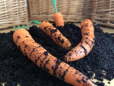 Fidget Carrots