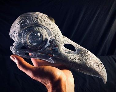 Filigree Anatomical Raven Skull - Pre-supported STL