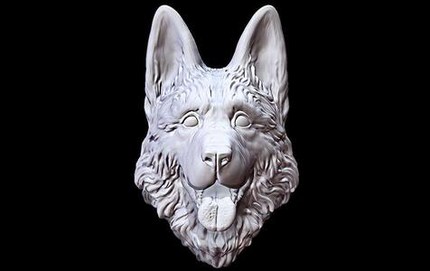 Shepherd German Dog head