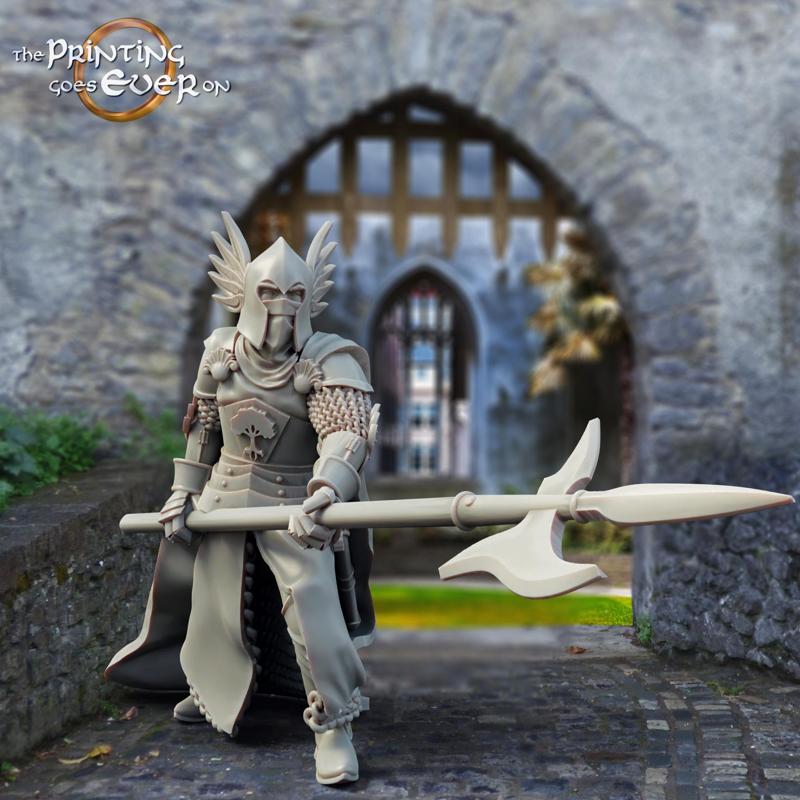 King's Guard - Pose A - Presupported