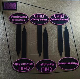 Plant markers for seedlings