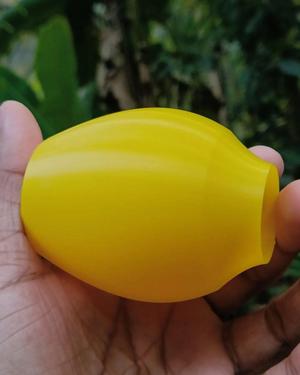 Mini Lemons