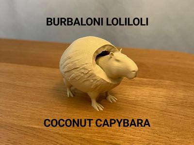 Burbaloni Loliloli - Coconut Capybara