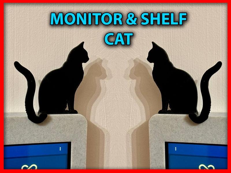 Monitor Cat