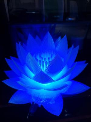 Lotus Flower Table Lamp
