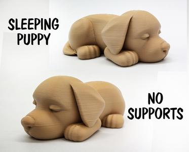 Cute Sleeping Puppy - No Supports