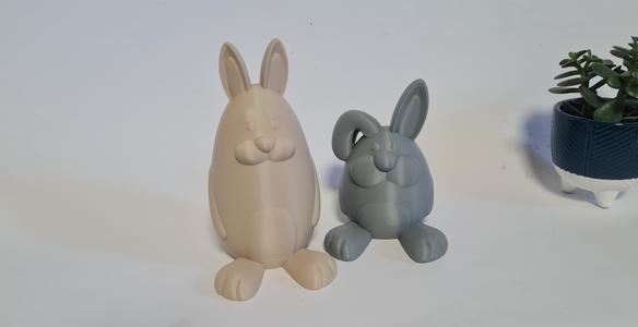 Big and little rabbit