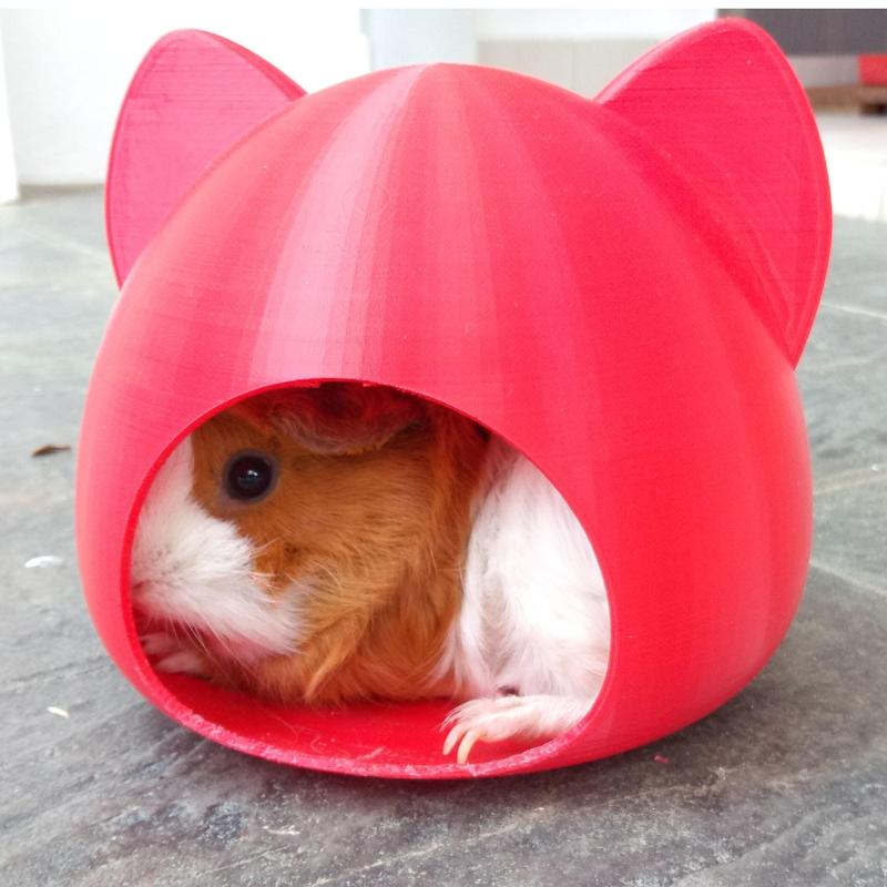 Pet House, Cat, Hamster, Guinea Pigs, small pet