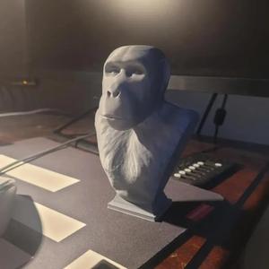 Realistic Ape Bust   