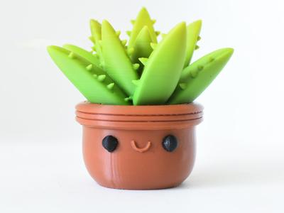 Succulent Plant Pot B