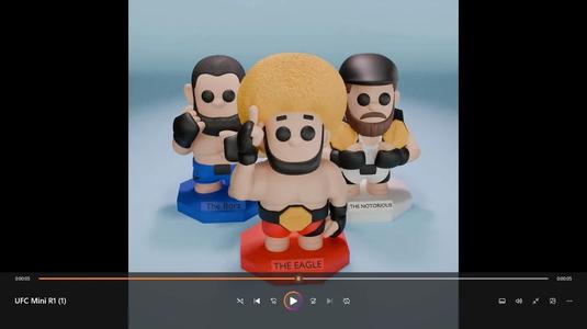 Peleadores MMA   
