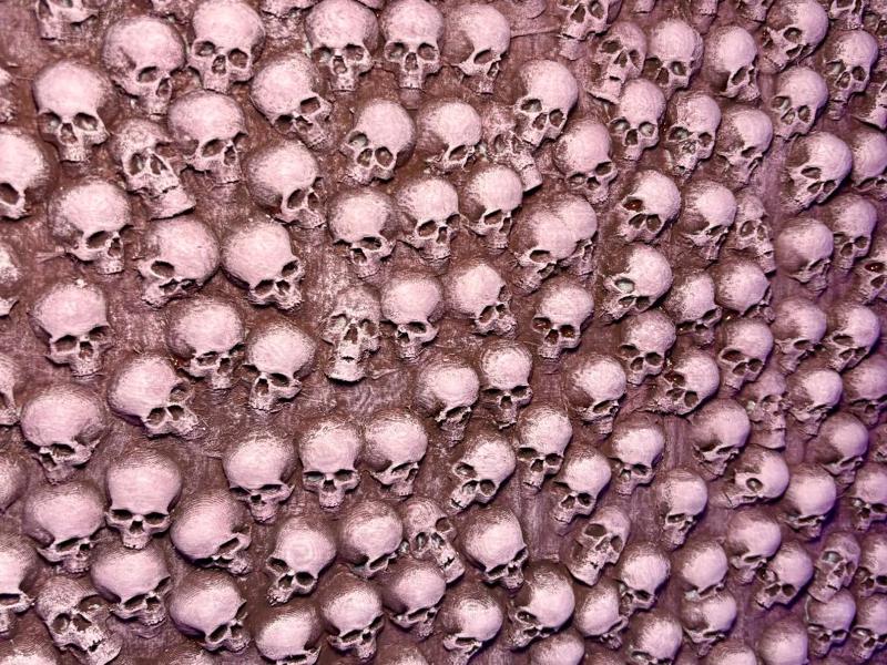 Skull Wall Diorama Background Backdrop Detolf size