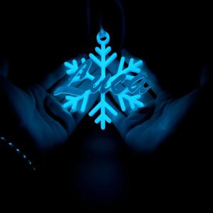 Christmas Decoration (#2) Your Name, Snowflake, Gift